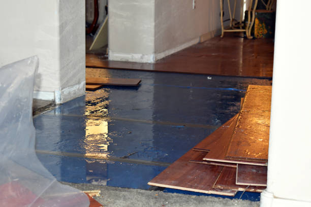 Professional Sewage Cleanup technician working in Clinton, MD